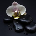 stones, black, orchid